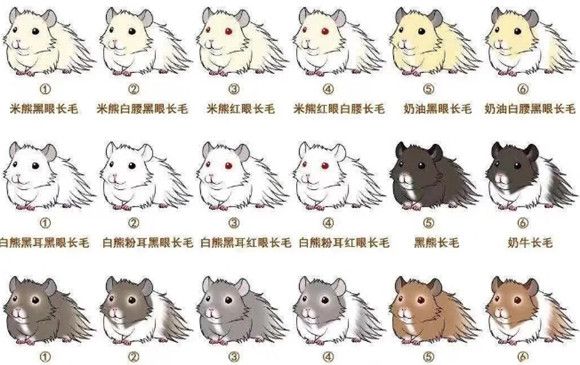 白蚁都是白色的吗