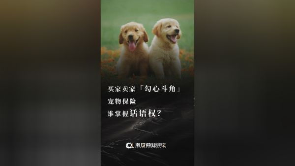 Thumbplayer Poster Plugin Image