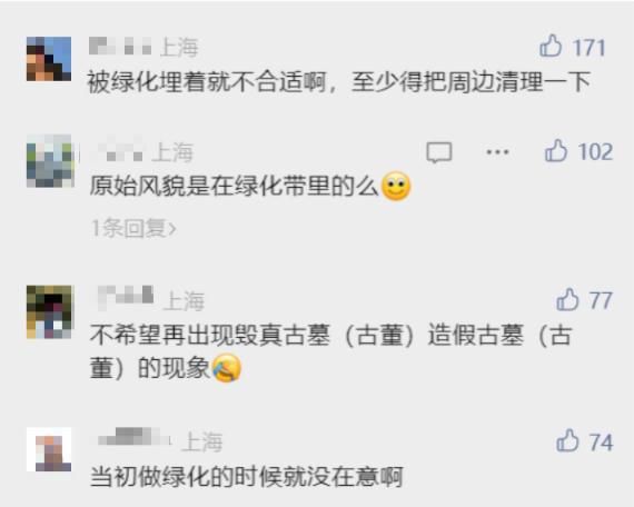 上海一小区绿化带惊现“古墓群”！市民担心……
