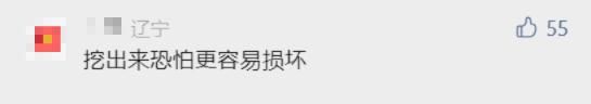 上海一小区绿化带惊现“古墓群”！市民担心……