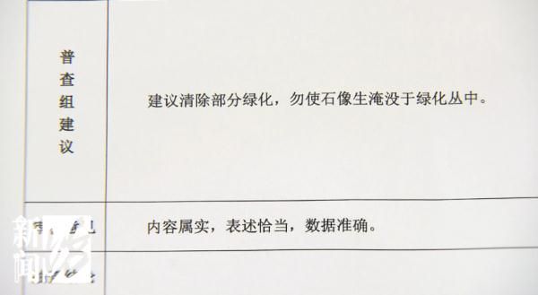 上海一小区绿化带惊现“古墓群”！市民担心……