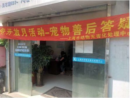 图片11.png