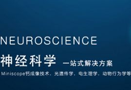 动物行为学软件.png