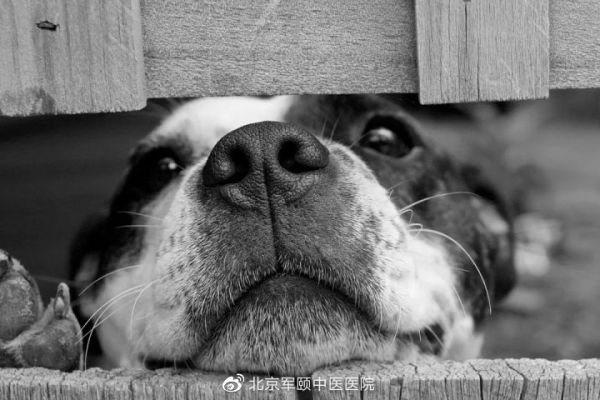 （图片源自网络）