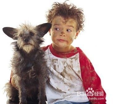 从心理学上说，养宠物看主人性格！