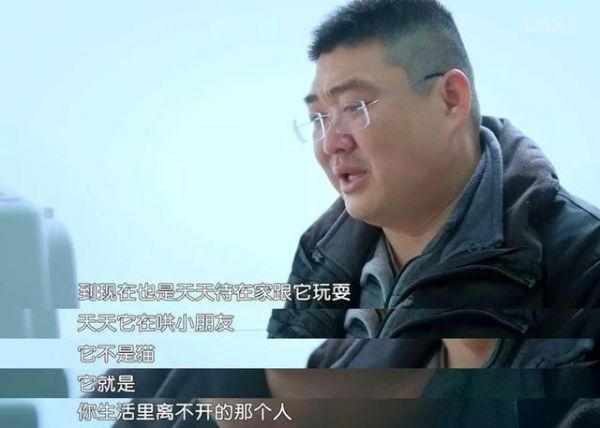 心理学家：你和宠物有特殊的依恋关系！看完你能忍受它们离开吗？