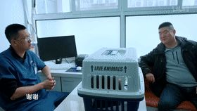 心理学家：你和宠物有特殊的依恋关系！看完你能忍受它们离开吗？