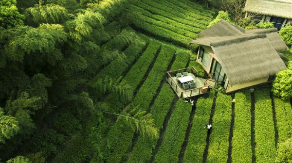 杭州森泊森系小木屋.jpg