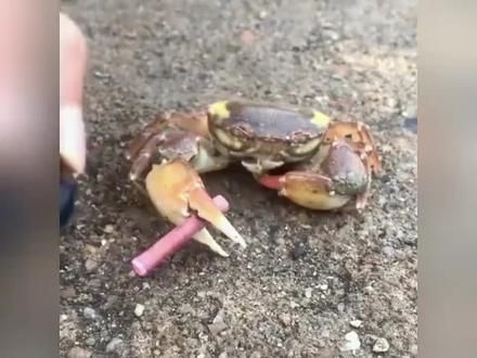 #人类迷惑行为 #倒霉瞬间 #盘点那些不干人事的人类