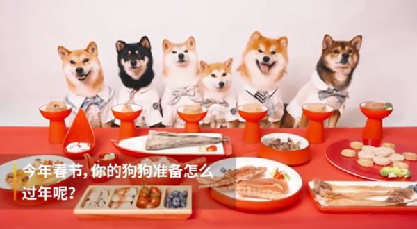 宠物年夜饭