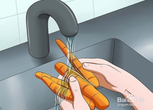如何喂养宠物鼠