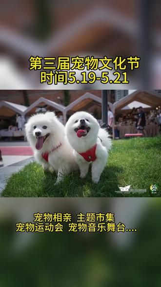 0.52元 ,直接入场 可以现场lingqu周边哦。＃抖音520宠爱季 #520去哪玩 #520的氛围已经有了#杭州宠物文化节#东巢艺术公园