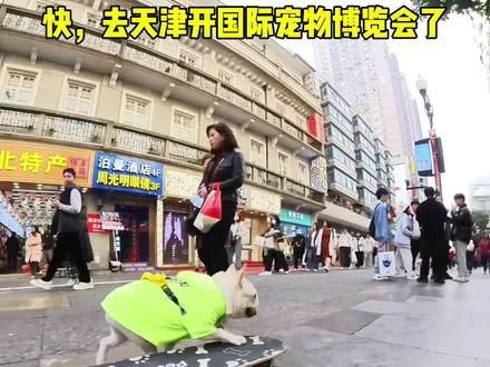 天津这次趣宠会国际宠物展做的特别大,29.9的早鸟票可是要早点抢!#天津 #趣宠会 #萌宠
