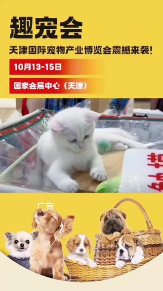 国家会展中心趣宠会#趣宠会 #天津 #国家会展中心 #抖音小助手 #抖in萌宠计划