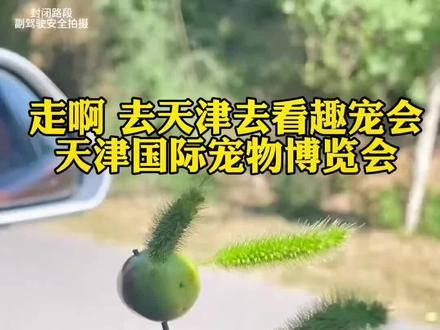 天津国际宠物博览会开始了,现在早鸟票预售,过了10000张可能就恢复原价了#天津 #趣宠会