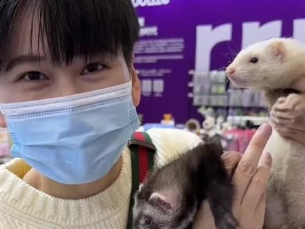 没想到这么大的宠物展览到天津了,喜欢撸宠的朋友赶紧去抢票,早鸟票预售比较合适,不去还可以自动退!#萌宠 #趣宠会