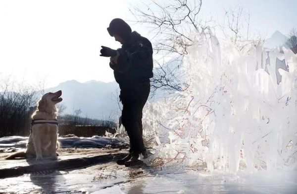 一样是拍自家爱宠，为何她的照片却如此温暖？