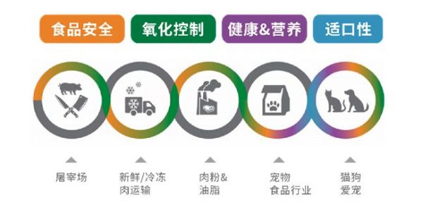 公募大咖展望明年行情 最可能赚盈利稳定的钱