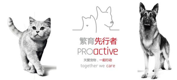 2019年皇家启动国内首个繁育行业的可持续发展项目