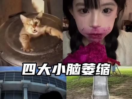 四大小脑萎缩 #每日一笑 #看完不笑算我输 #自信小孩的迷惑行为 #搞怪日常 #猫咪