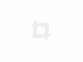 派多格宠物美容学校