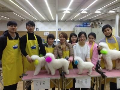 在宠物店学习与学校学习有哪些不同呢