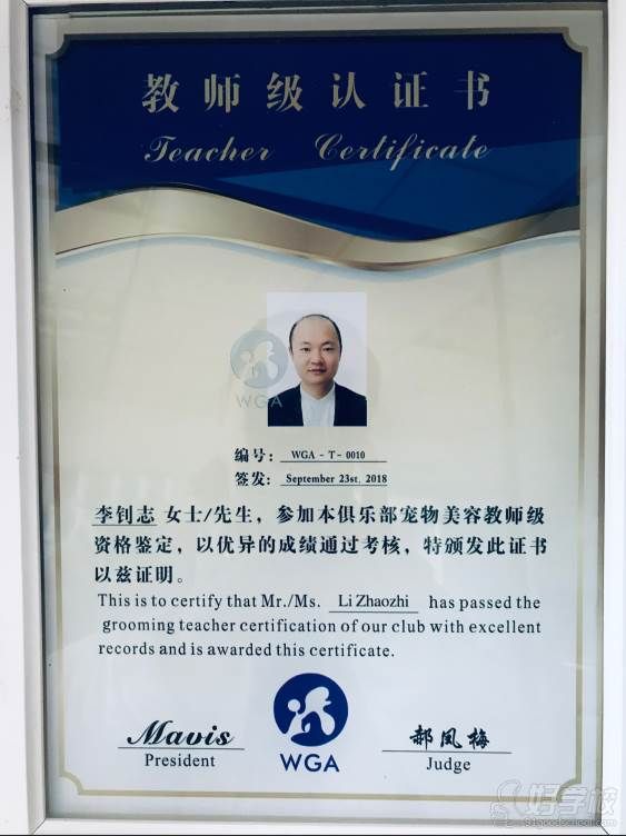 武汉无界时尚宠物造型培训学校 荣誉证书