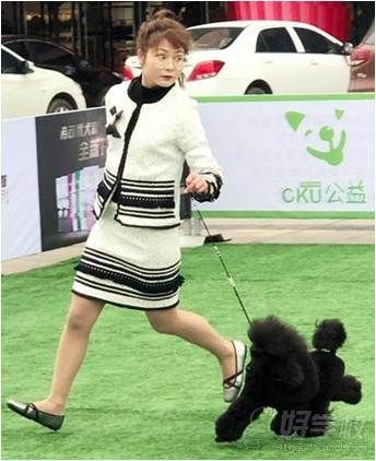 宋桃莹老师