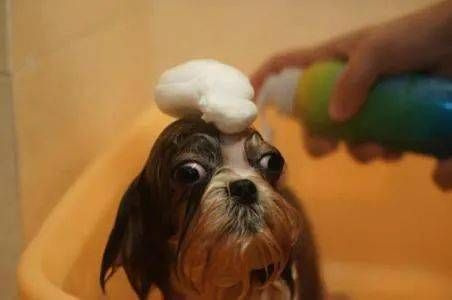 95387980026845379a42ce8c856830d4.jpeg