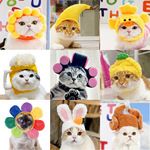 宠物头套可爱狗狗泰迪装扮太阳花猫咪头饰假发猫咪头套帽子现货