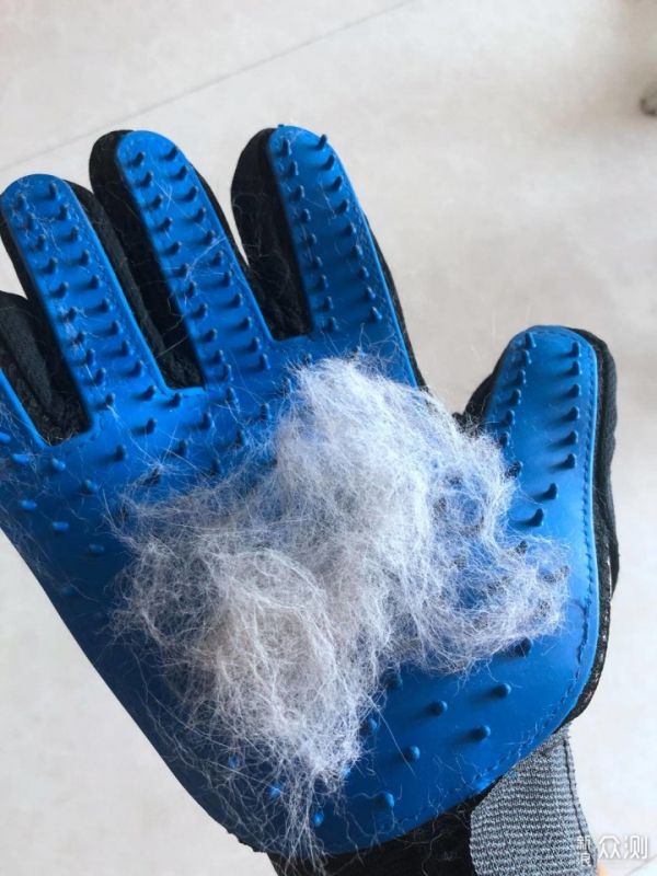 疯狂的小狗 宠物剃毛器 使用感受_新浪众测
