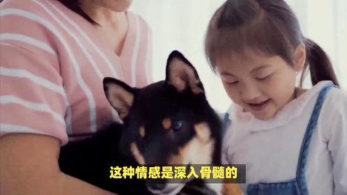 你对宠物好，没见你对父母这么好？不好意思，我对我父母更好！