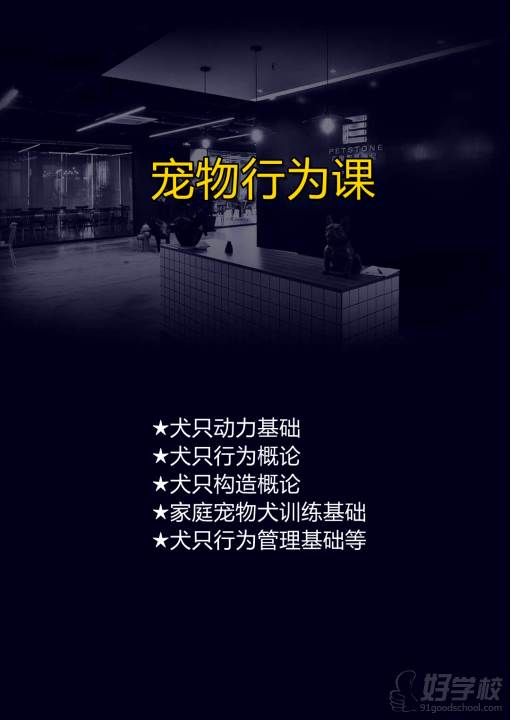 上海百彤宠物课程展示