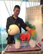 宠物美容