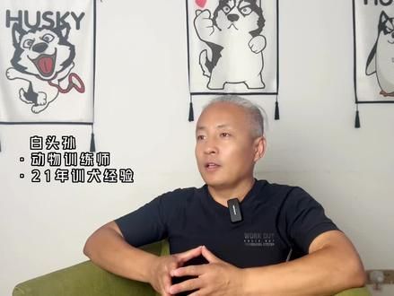 谁才是第一主人#白头孙训犬 #太原训犬 #宠物行为纠正 #狗 #知识创作人
