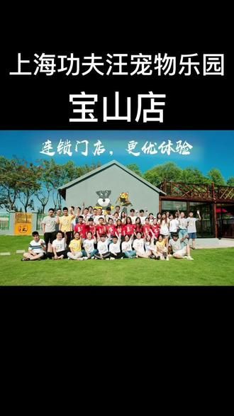 上海功夫汪宝山店欢迎汪星人喵星人来玩耍#宠物行为纠正 #宠物训练学校 #训犬师 #训练狗狗 #宠物乐园 #宠物 #功夫汪宠物乐园 #宠物酒店寄养