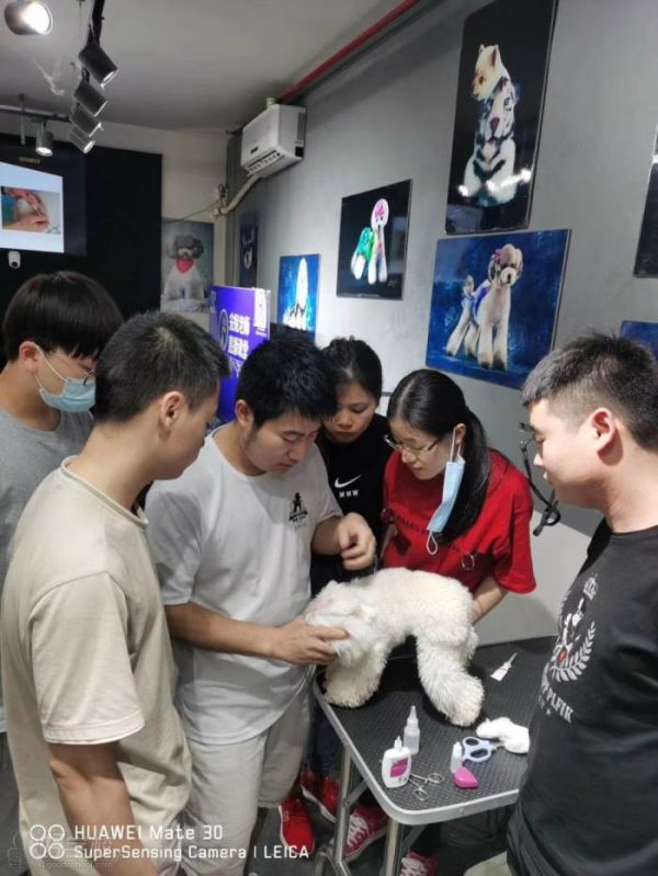 教学现场
