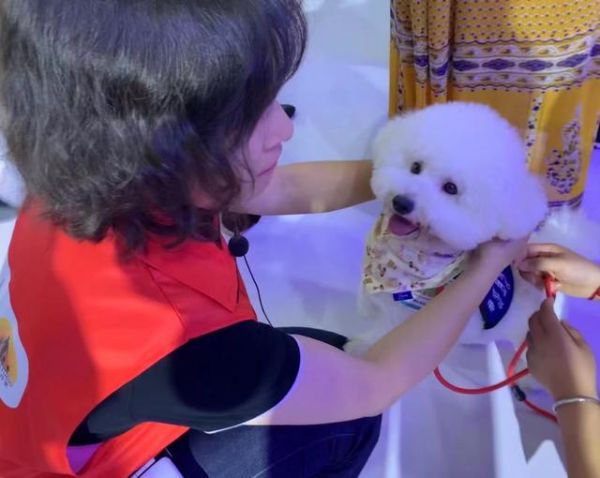 悠悠第一次参加志愿活动,穿上治疗犬“制服”。受访者供图