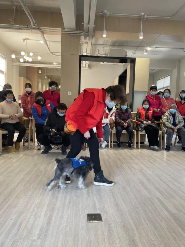 治疗犬biubiu第一次上岗,正在为老人表演“绕腿走”。受访者供图