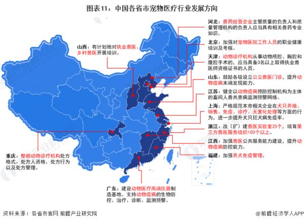 图表11：中国各省市宠物医疗行业发展方向