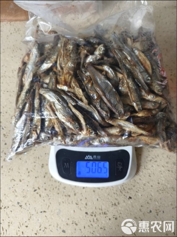 宠物零食小鱼干