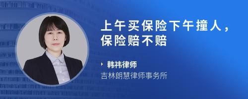 上午买保险下午撞人，保险赔不赔