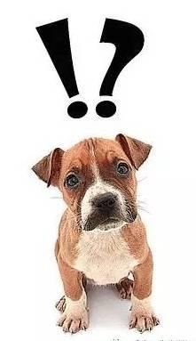 给猫狗绝育是灭绝天性吗？太残忍了，能不做吗？