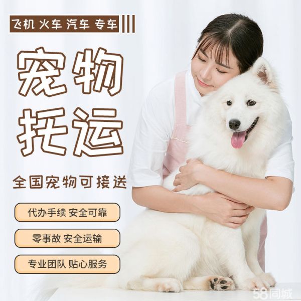 店主头像