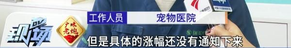 “全部被订完了！”春节前，这类寄养火爆！