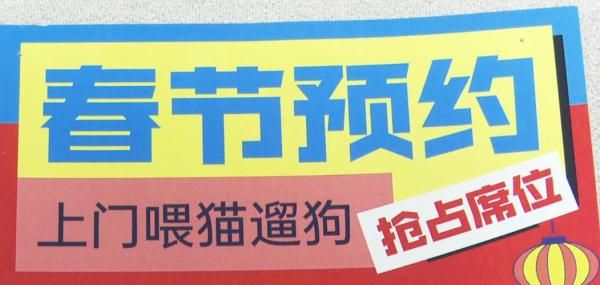 “全部被订完了！”春节前，这类寄养火爆！