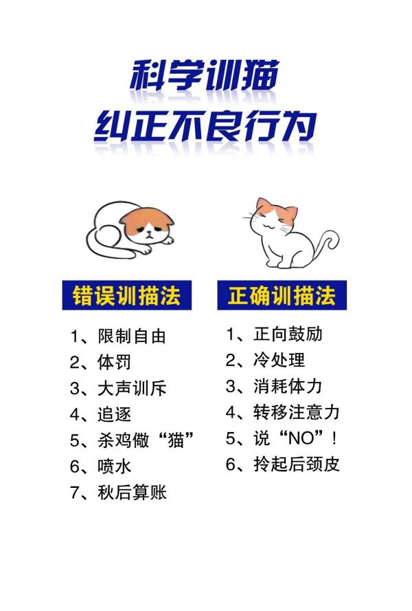 科学训猫 避免雷区。纠正猫咪不良行为的方法～你做了哪几点？#新手养猫 #撸猫 #宠物知识 #猫知识 #猫咪的迷惑行为
