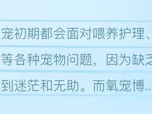 专栏