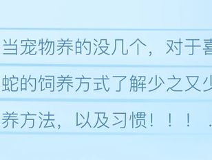 专栏