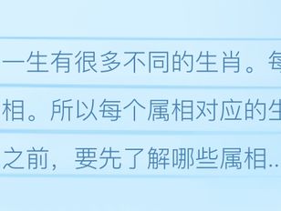 专栏